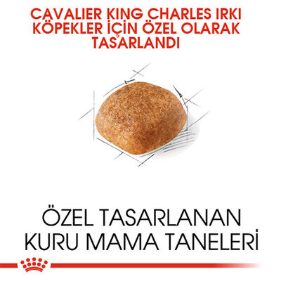 Royal Canin Cavalier King Charles Adult Yetişkin Köpek Maması 3 Kg 