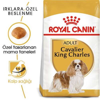 Royal Canin Cavalier King Charles Adult Yetişkin Köpek Maması 3 Kg 