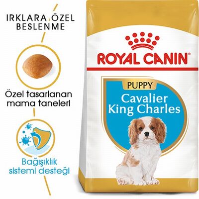 Royal Canin Cavalier King Charles Puppy Yavru Köpek Maması 1,5 Kg 