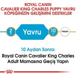 Royal Canın Cavalier King Charles Puppy Yavru Köpek Maması - Thumbnail