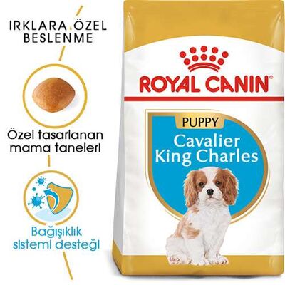 Royal Canın Cavalier King Charles Puppy Yavru Köpek Maması
