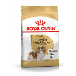 Royal Canin Köpek Mamaları - Royal Canin Cavalier King Adult Yetişkin Köpek Maması