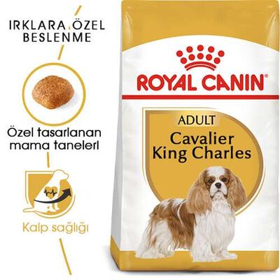 Royal Canin Cavalier King Adult Yetişkin Köpek Maması