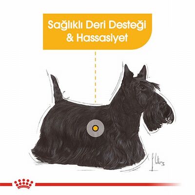 Royal Canin Ccn Dermacomfort Loaf Pate Pouch Küçük Irk Yetişkin Köpek Konservesi 12 Adet 85 Gr 