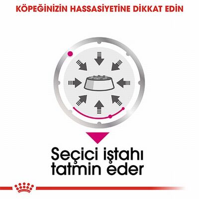 Royal Canin Ccn Exigent Loaf Pate Pouch Küçük Irk Yetişkin Köpek Konservesi 12 Adet 85 Gr 