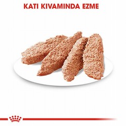Royal Canin Ccn Exigent Loaf Pate Pouch Küçük Irk Yetişkin Köpek Konservesi 6 Adet 85 Gr - Thumbnail