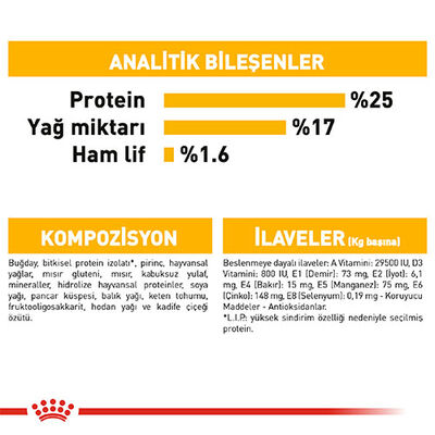 Royal Canin Ccn Maxi Dermacomfort Adult Büyük Irk Yetişkin Köpek Maması 12 Kg 