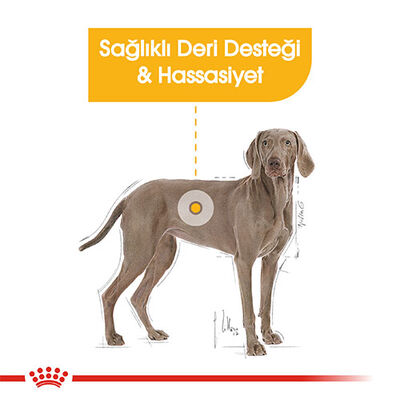 Royal Canin Ccn Maxi Dermacomfort Adult Büyük Irk Yetişkin Köpek Maması 12 Kg 
