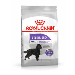 Royal Canin Köpek Mamaları - Royal Canin Ccn Maxi Sterilised Yetişkin Köpek Maması