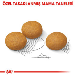 Royal Canin Ccn Medıum Dermacomfort Adult Orta Irk Yetişkin Köpek Maması 12 Kg - Thumbnail