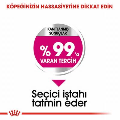 Royal Canin Ccn Mini Exigent Küçük Irk Yetişkin Köpek Maması 3 Kg 