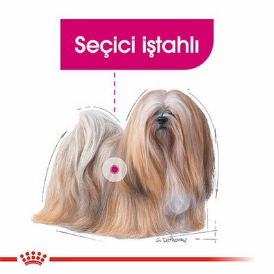 Royal Canin Ccn Mini Exigent Küçük Irk Yetişkin Köpek Maması 3 Kg 