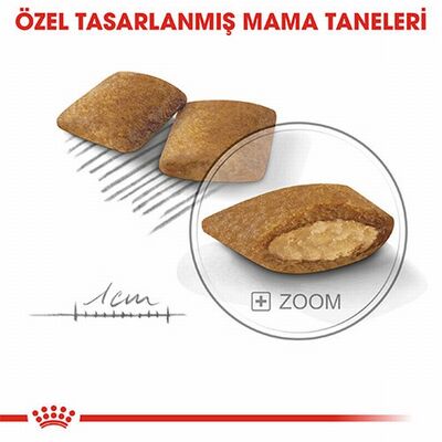Royal Canin Ccn Mini Exigent Küçük Irk Yetişkin Köpek Maması 3 Kg 