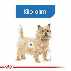 Royal Canin Ccn Mini Light Weight Care Küçük Irk Light Köpek Maması 3 Kg - Thumbnail