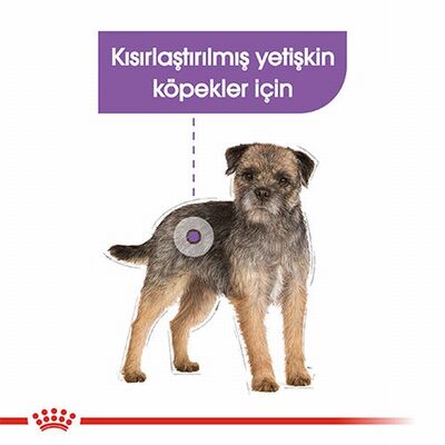 Royal Canin Ccn Sterilised Pouch Kısırlaştırılmış Köpek Konservesi 12 Adet 85 Gr 