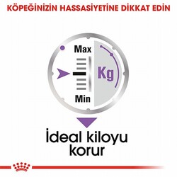 Royal Canin Ccn Sterilised Pouch Kısırlaştırılmış Köpek Konservesi 12 Adet 85 Gr - Thumbnail