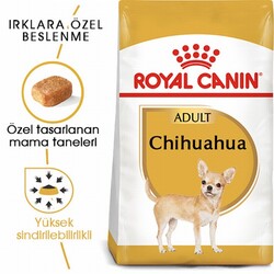 Royal Canin Chihuahua Adult Yetişkin Köpek Maması 1,5 Kg - Thumbnail