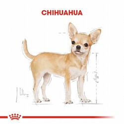 Royal Canin Chihuahua Adult Yetişkin Köpek Maması 1,5 Kg - Thumbnail