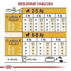 Royal Canin Chihuahua Puppy Yavru Köpek Maması 1,5 Kg - Thumbnail