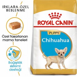 Royal Canin Chihuahua Puppy Yavru Köpek Maması 1,5 Kg - Thumbnail