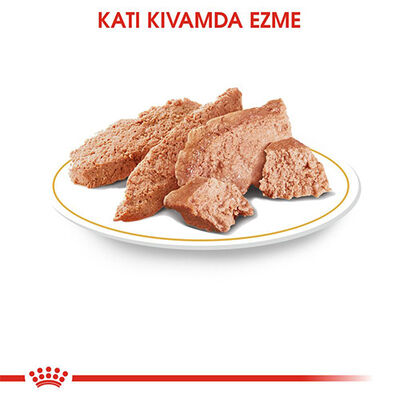 Royal Canin Pouch Chihuahua Adult Yetişkin Köpek Konservesi 6 Adet 85 Gr 
