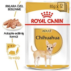 Royal Canin Pouch Chihuahua Adult Yetişkin Köpek Konservesi 85 Gr - Thumbnail