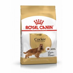 Royal Canin Köpek Mamaları - Royal Canin Cocker Spaniel Adult Yetişkin Köpek Maması 3 Kg 