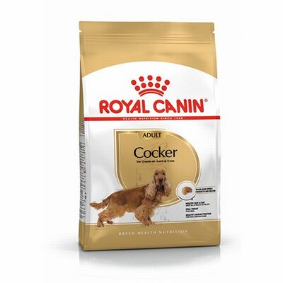 Royal Canin Cocker Spaniel Adult Yetişkin Köpek Maması 3 Kg 
