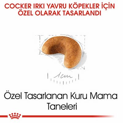 Royal Canin Cocker Spaniel Puppy Yavru Köpek Maması 3 Kg 