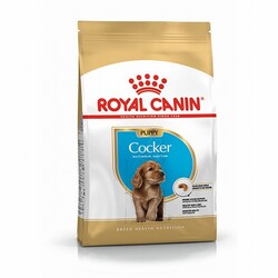Royal Canin - Royal Canin Cocker Spaniel Puppy Yavru Köpek Maması 3 Kg 