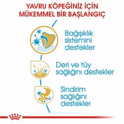 Royal Canin Cocker Spaniel Puppy Yavru Köpek Maması 3 Kg - Thumbnail