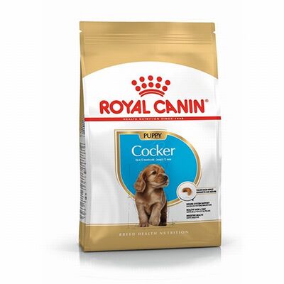 Royal Canin Cocker Spaniel Puppy Yavru Köpek Maması 3 Kg 