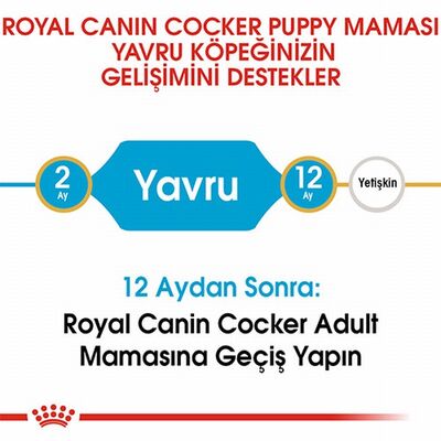 Royal Canin Cocker Spaniel Puppy Yavru Köpek Maması 3 Kg 