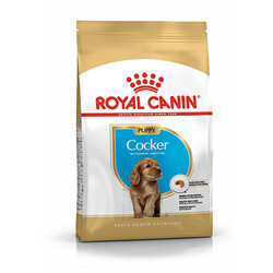 Royal Canin Köpek Mamaları - Royal Canın Cocker Puppy Yavru Köpek Maması