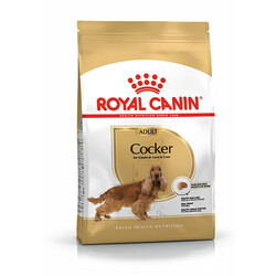 Royal Canin Köpek Mamaları - Royal Canin Cocker Adult Yetişkin Köpek Maması
