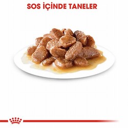 Royal Canin Digest Sensitive Gravy Pouch Yetişkin Kedi Konservesi 12 Adet 85 Gr - Thumbnail