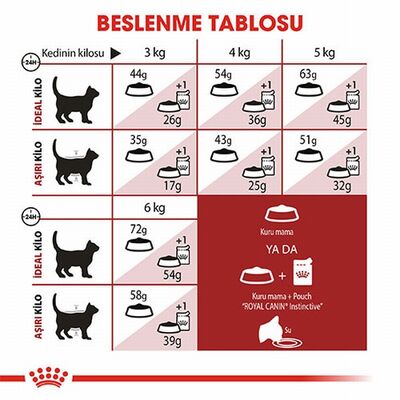 Royal Canin Fit 32 Adult Yetişkin Kedi Maması 15 Kg 