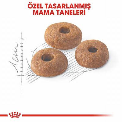 Royal Canin Fit 32 Adult Yetişkin Kedi Maması 15 Kg 
