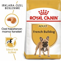 Royal Canin French Bulldog Adult Yetişkin Köpek Maması 3 Kg - Thumbnail