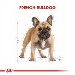 Royal Canin French Bulldog Adult Yetişkin Köpek Maması 3 Kg - Thumbnail