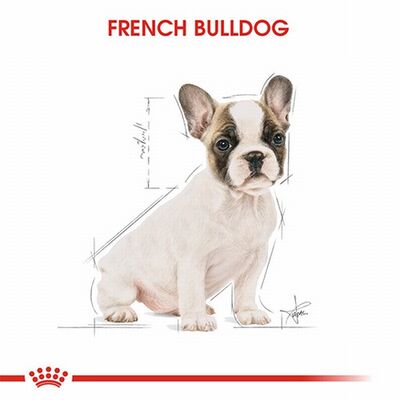 Royal Canin French Bulldog Puppy Yavru Köpek Maması 3 Kg 