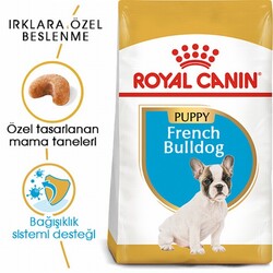 Royal Canin French Bulldog Puppy Yavru Köpek Maması 3 Kg - Thumbnail