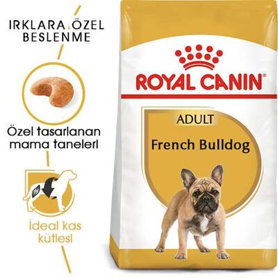 Royal Canin French Bulldog Adult Yetişkin Köpek Maması
