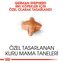 Royal Canin German Shepherd Adult Yetişkin Köpek Maması 11 Kg - Thumbnail