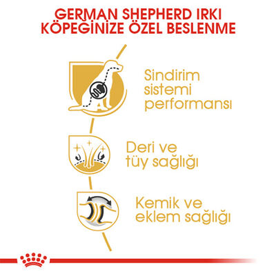 Royal Canin German Shepherd Adult Yetişkin Köpek Maması 11 Kg 