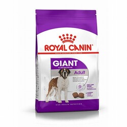 Royal Canin Köpek Mamaları - Royal Canin Giant Adult Dev Irk Yetişkin Köpek Maması 15 Kg 