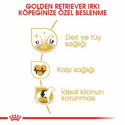 Royal Canin Golden Retriever Adult Yetişkin Köpek Maması 12 Kg 