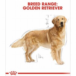 Royal Canin Golden Retriever Adult Yetişkin Köpek Maması 12 Kg - Thumbnail