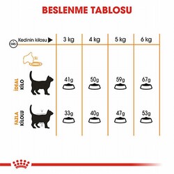 Royal Canin Hair Skin Adult Hassas Tüy Sağlığı Yetişkin Kedi Maması 2 Kg - Thumbnail