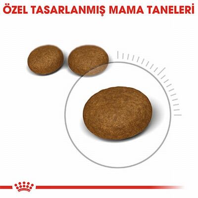 Royal Canin Hair Skin Adult Hassas Tüy Sağlığı Yetişkin Kedi Maması 2 Kg 